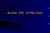 Acute cns infection