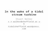 In the wake of a tidal stream turbine