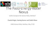The Food-Energy-Water Nexus: Useful Concept at the Science-Policy Interface?