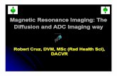 DWI/ ADC MRI principles/ applications  in veterinary medicine