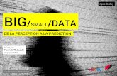 Big/Small data: de la perception à la prédiction