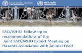 FAO/WHO follow-up to recommendations of the Joint FAO/WHO Expert Meeting on Hazards Associated with Animal Feed