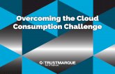 Overcoming the Cloud Consumption Challenge