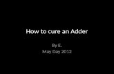 How to cure an adder