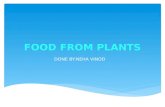 Food from plants