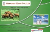 Kerala Tour Packages by Namaste Tours Private Limited, Kerala Division, Gurgaon