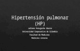 Hipertensión pulmonar (htp)