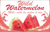 Wild watermelon