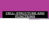 Cell -Structure and functions