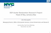 Dep head of bay oyster project jam bay task force november 2016