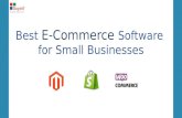 Best eCommerce Software for Small Businesses