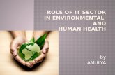 Role of it sector in environmental