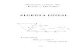 Libro algebra-lineal