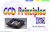Ccd principles(nnm)