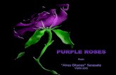 1 color-42  roses-purple-aires gitano sarasate-violon solo - copy