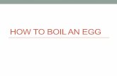 How To Boil An Egg - Stephen Delissio