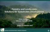Forestry and landscapes: Solutions for sustainable development