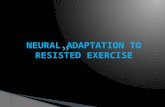 Neural adaptation to resisted exercise new by fahis