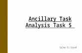Ancillary task analysis task 5
