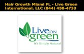 Testosterone Booster Miami - Live Green International LLC (844) 458-4733