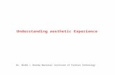 1 Understanding asthetc experience