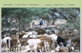Livestock Farming