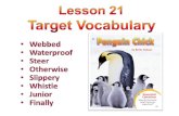 Lesson 21   Penguin Chick