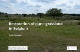 Restoration of dune grasslands in Belgium