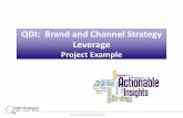 QDI Strategies: Brand and Channel Strategy Project Example