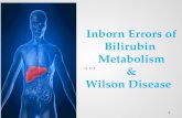 Inborn errors of bilirubin metabolism & wilson disease