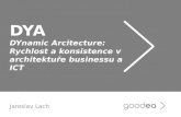 DYA - architektonický rámec