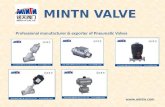 Mintn professional manufacturer of pneumatic valves