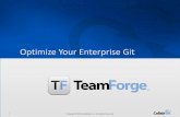 Optimize Your Enterprise Git Webinar