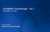 TeamForge Overview Webinar (9/21)