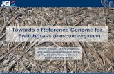 Towards a Reference Genome for Switchgrass (Panicum virgatum) - Schmutz jeremy