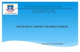 .sistema cardio respiratorio