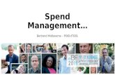 Spend Management Value, 30 years after the Kraljic Matrix