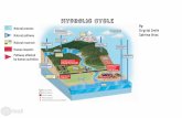 Hydrolic Cycle PERIOD 4