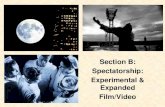 Experimental Film & Spectatorship Revision