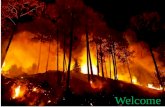 Spatial and temporal distribution of forest fire in nepal by Ashok Parajuli