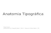 Anatomia tipográfica  - Tiago Campos