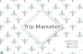 Trip marketer