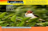 Laguna, revista urbana   agosto 2016