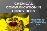 honey bee-pheromones