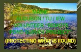 Me audubon tu-mdif&w bkt survey project (ponds)