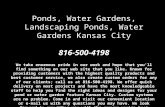 Ponds, water gardens, landscaping ponds, water gardens kansas city 816 500-4198