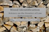 Bojarska Wood Identification 23 July 2015