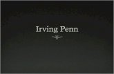 Irving penn copy