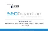 SEOGuardian - Calzini Online
