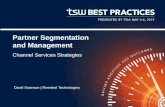 TSW BP 2015 Speaker - Swanson - 20150506 - Partner Segmentation and Strategy